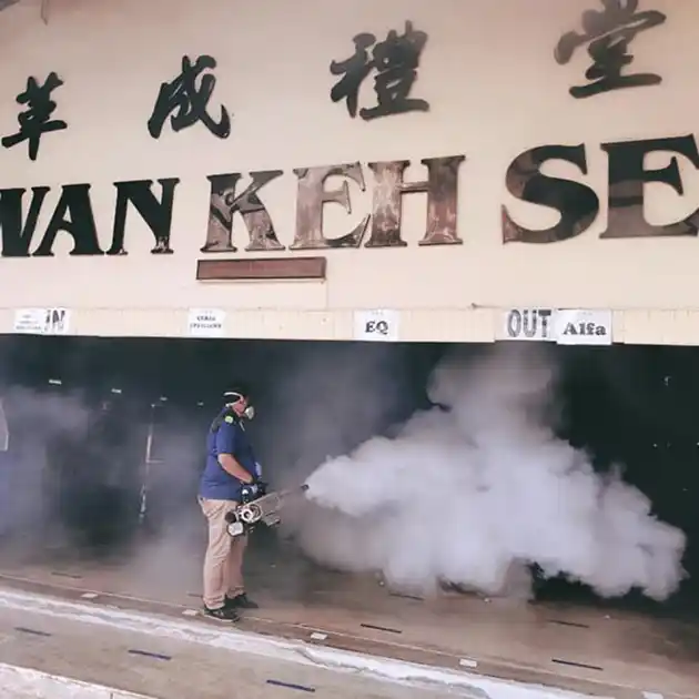 Pest control image 3